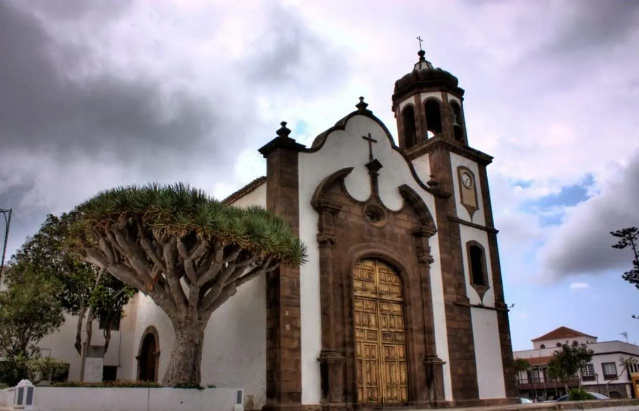 Almendro Villa Arico Viejo Spain